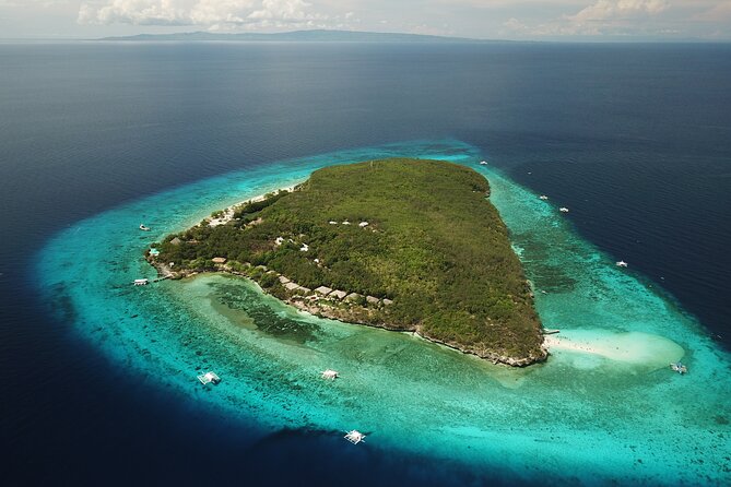 Oslob Whaleshark With Sumilon Island - Conclusion