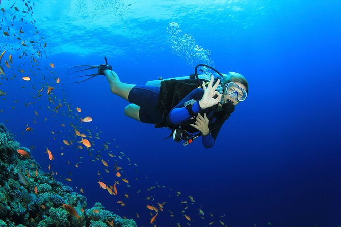 Bohol Dive Courses - Frequently Asked Questions