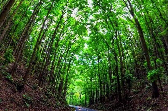 Bohol Tour With Bike Zip Adventure - Safety Measures and Requirements