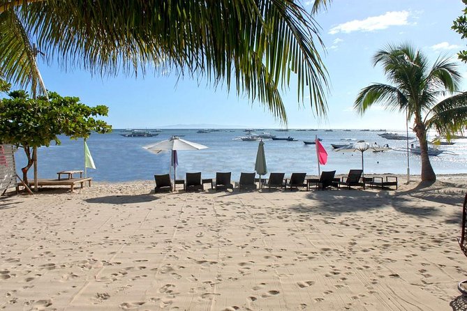 Panglao Island Tour - Pricing and Booking Information