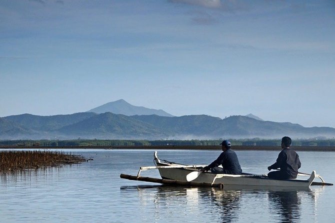 Puerto Princesa: Shared Firefly Watching - Tips for an Enjoyable Experience