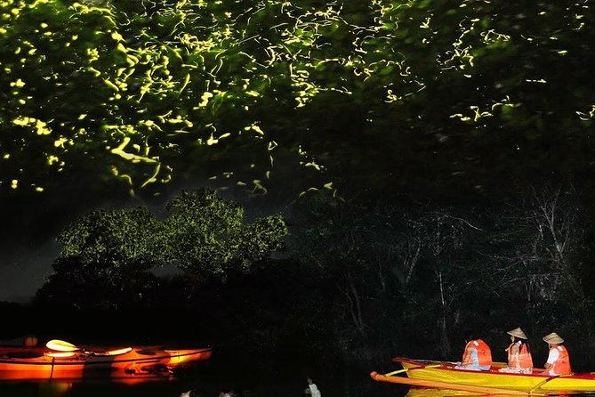 Bohol Firefly Or Fullmoon Tour Stand Up Paddle Tour - Key Takeaways