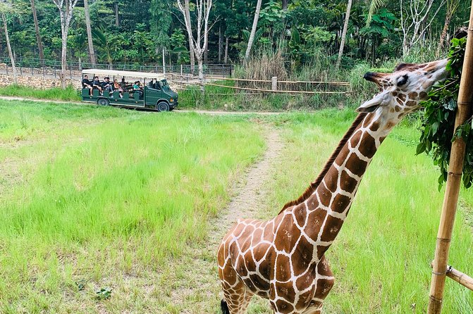 Cebu Safari Journeys - Safari Adventure in Cebu