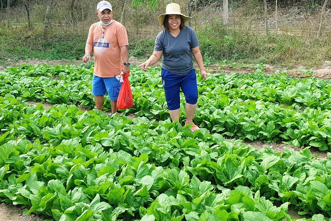 Coron Farm Private Escape Sustainable Farming and Lunch - Key Takeaways