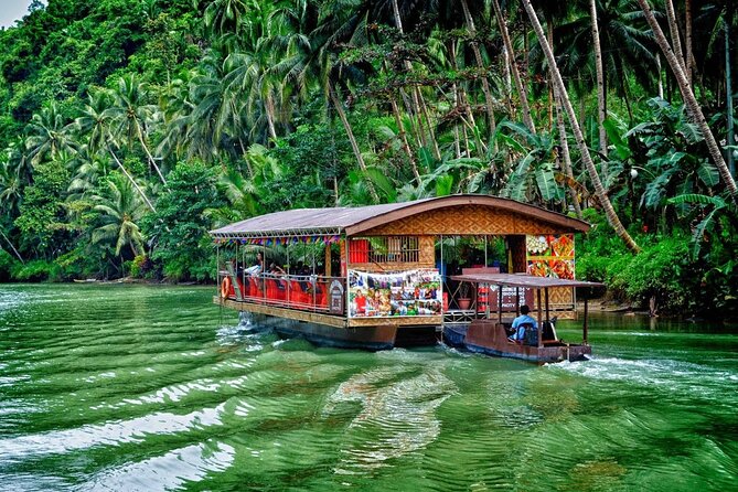 Bohol Highlights Tour: Chocolate Hills, Tarsier Spotting and Loboc River Cruise - Traveler Reviews