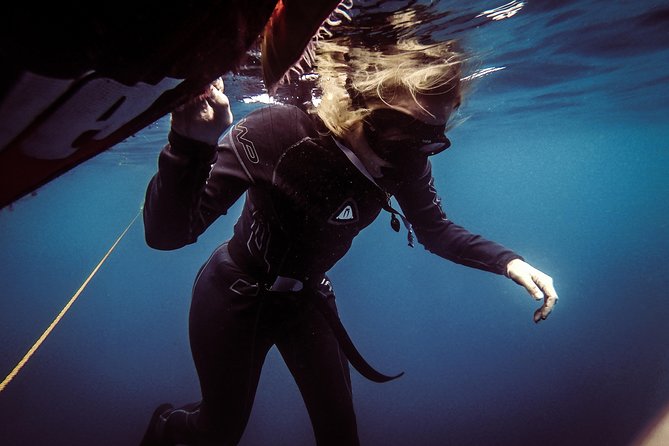 Discovery Freediving Program - Program Overview