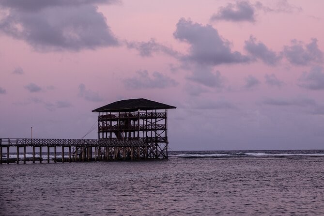 Quality Surfing Lessons in Siargao Island - Surfing Lessons Overview