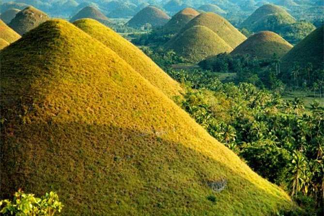 Chocolate Hills Tour With Tarsier & Loboc River Buffet Lunch (Half-Day Tour) - Customer Reviews
