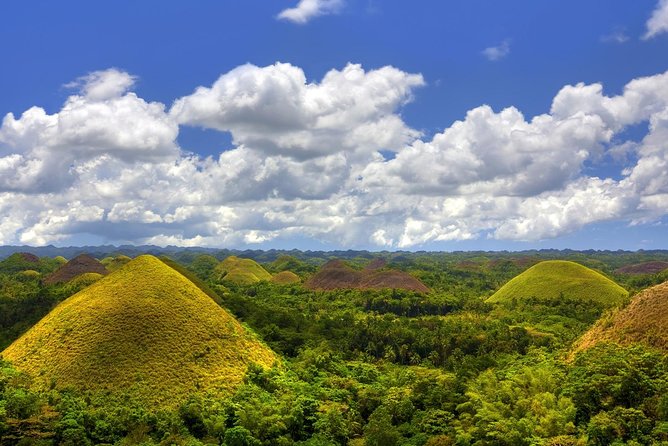 Bohol Countryside Day Tour From Cebu City Lunch at Loboc River Cruise - Customer Reviews and Feedback