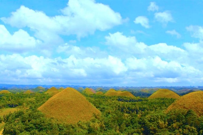 Bohol Countryside Day Tour From Cebu City or Mactan - Best Seller - Highlights and Reviews