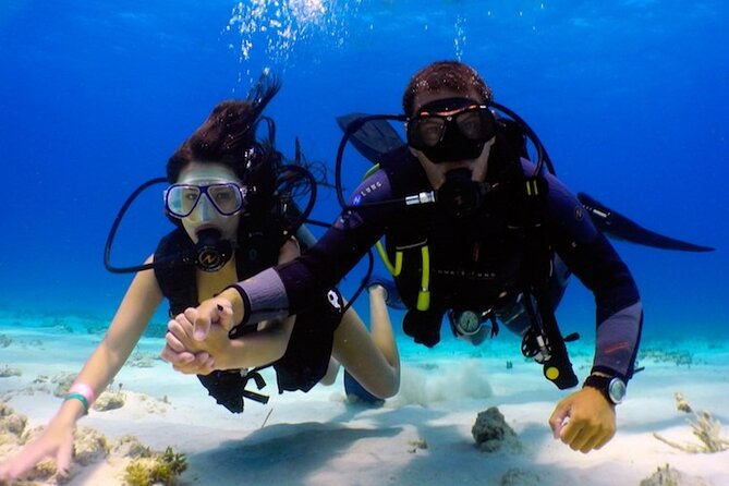 Discover Scuba Diving in El Nido - Key Takeaways