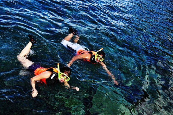 Dumaguete Apo Island Snorkeling Tour - Key Takeaways