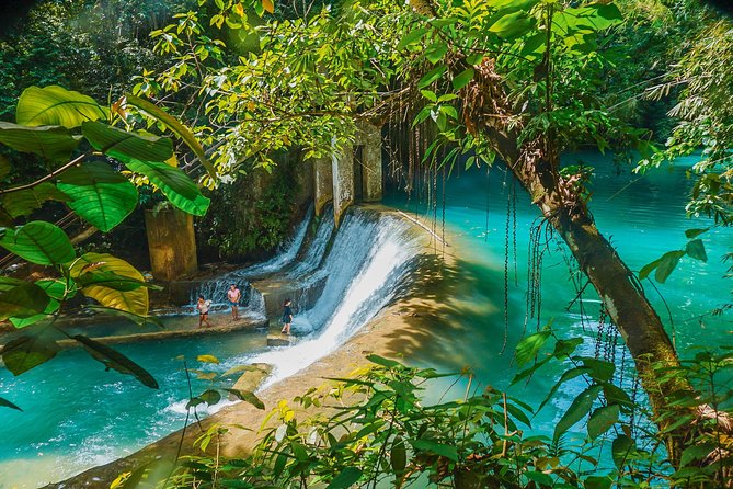 Kawasan Canyoneering, Kawasan Falls and Whaleshark Encounter - Key Takeaways