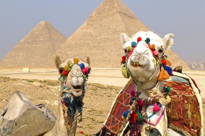 Luxury Camel Ride Around Giza Pyramids With Panoramic View - Tour Highlights