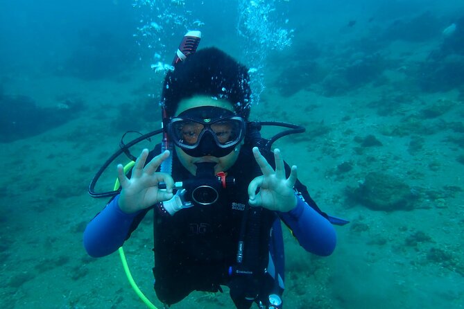 PADI Open Water Diver Course at Boracay Island - Key Takeaways