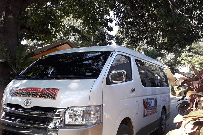 Private for Your Group Puerto Princesa Sightseeing Van - Key Takeaways