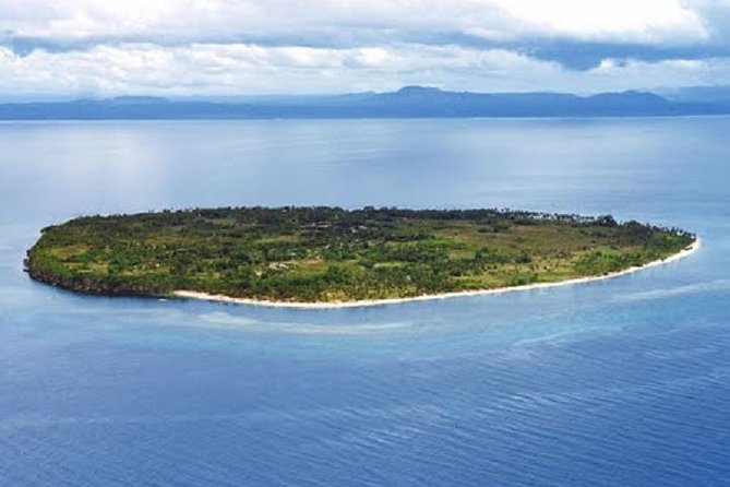 Private Pamilacan Island With Lunch From Tagbilaran City - Key Takeaways