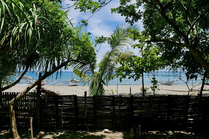 Private, Sustainable Farm-to-Table Cooking Experience in an Organic Beach Resort - Hosts Kim and Kens Beach Resort