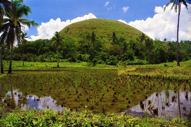 Private Tour Bohol Chocolate Hills Loboc River Cruise - Key Takeaways