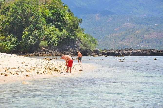 PUERTO GALERA Island Hopping & Snorkeling - Traveler Resources