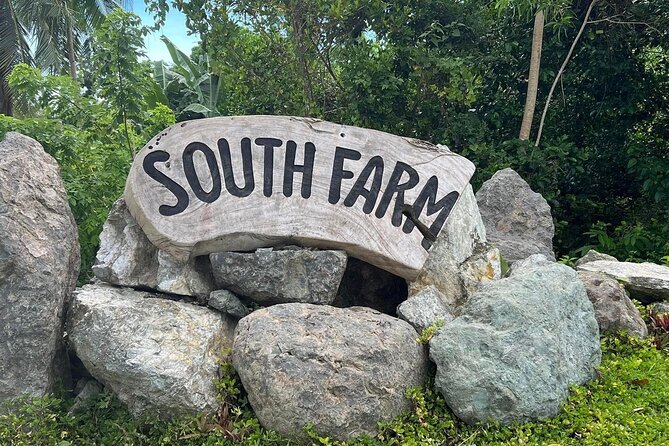 South Farm Tour Panglao in Bohol - Key Takeaways