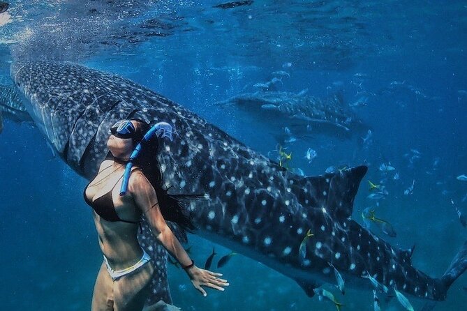 Swimming With Whale Sharks and Canyoneering in Badian, Cebu, Philippines - Traveler Experiences With Photos